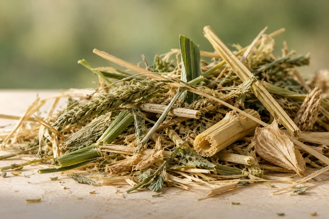 Fibras, tallos y restos vegetales sobre una superficie de observación